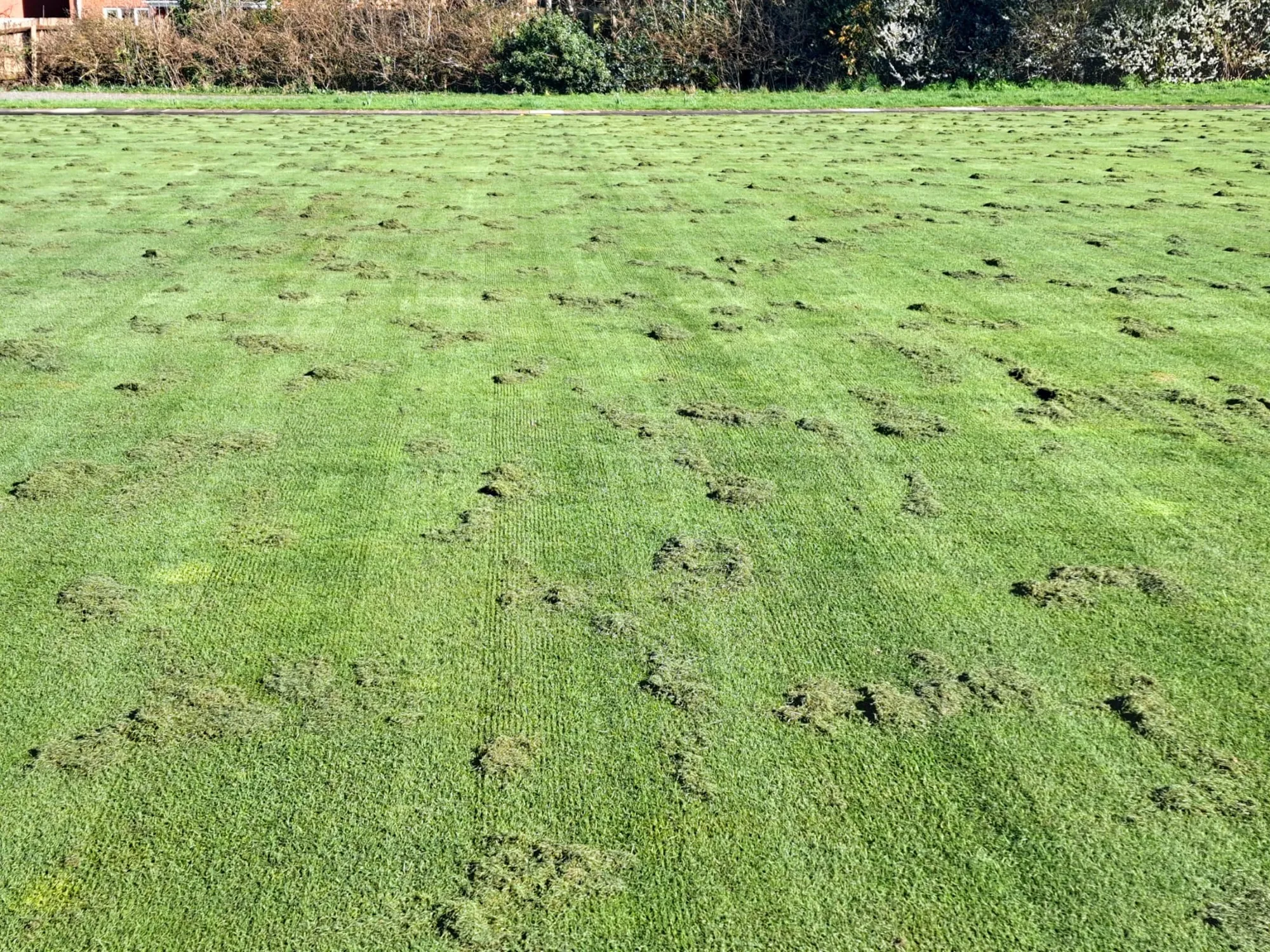 Green Almost Ready for the 2026 Season!